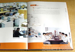 三文品牌设计 构建企业形象与VI系统的全方位指南