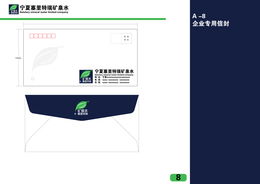 Kevin ZYT 公司品牌形象及信息系统集成服务方案